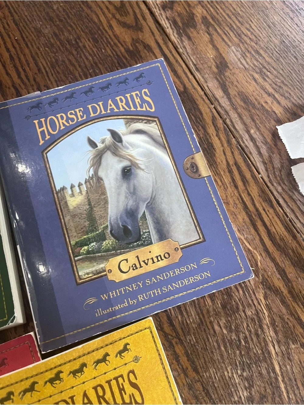 Horse Classic Multicolor Horse Diaries Decorative Book Set - Whitney Sanderson